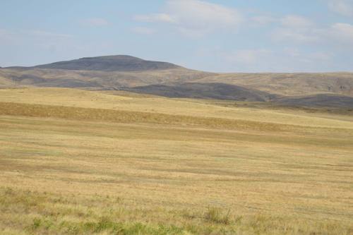 encore la steppe (et comme ca pendant 1000 kilometres)