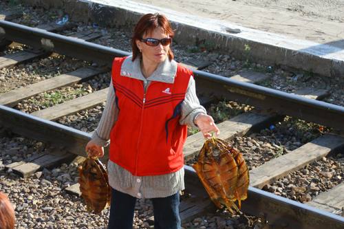 Sur le quai du train, quelque part entre Alamty et Astana, une vendeuse de poissons. 